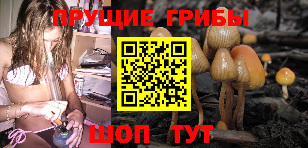 Псилоцибиновые грибы ЛСД  Вход с VPN  Ивантеевка 