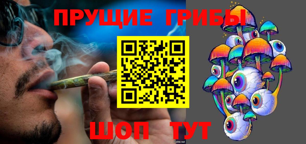 Псилоцибиновые грибы Psilocybe Ивантеевка